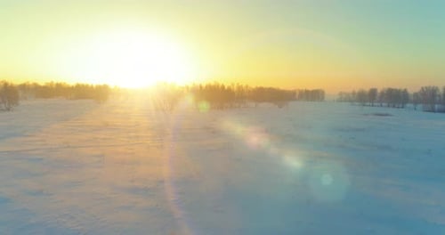 Aerial Drone View of Cold Winter Landscape with Arctic Field Trees Covered with Frost Snow and