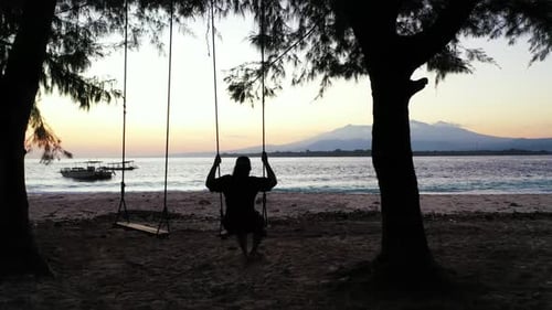 Single female relaxing on idyllic shore beach wildlife by blue water and white sandy background of t