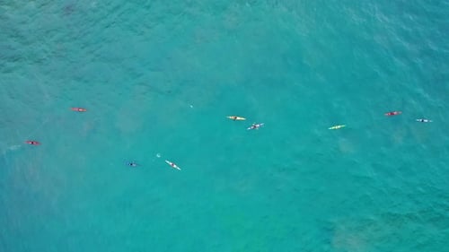 A Group of Sportsmen in Colorful Kayaks Are in the Calm Teal Open Ocean,