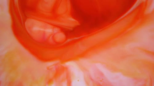 Abstract Orange and White Ink Swirl