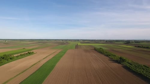 Agricultural Farmland Aerial View in Rural Countryside