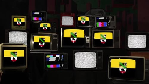 Flag of Saxony-Anhalt, German State, on Retro TVs.