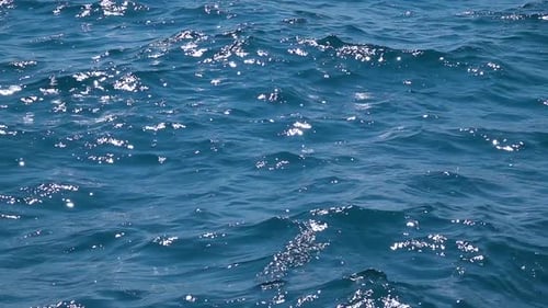 Slow Motion Waves Splashing