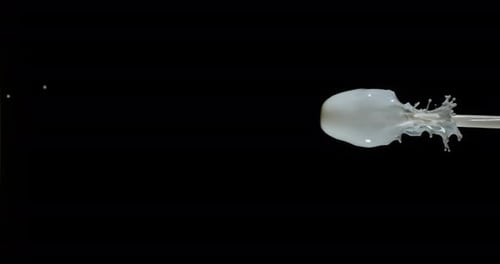 Milch explodiert und spritzt auf schwarzem Hintergrund, Zeitlupe 4K