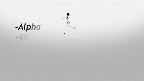 Dynamic Fluid Ink Splash Reveal Transition