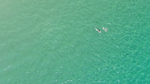 Aerial View of Man and Woman Swimming in Clear Sea