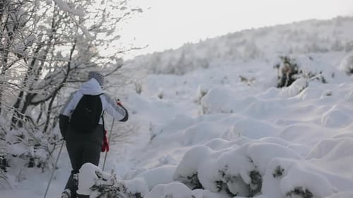 A Young Woman is Climbing a Mountain Through Deep Snow