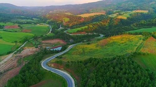 Luftstraße im Wald