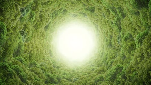 Aerial Over Forest Tunnel