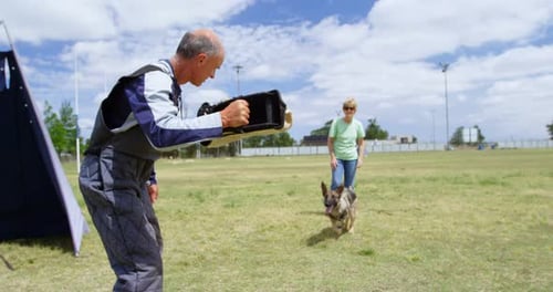 Trainer training a shepherd dog in the field 4k