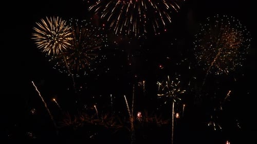 Bright Fireworks Exploding in the Night Sky