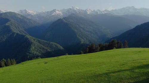 Horse Grazing on Green Hillside with Mountain View