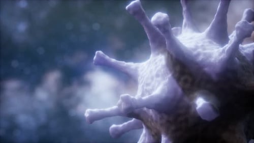 Animated 3D Microorganism Cell Structure Loop