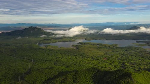 Aerial View of Lush Tropical Green Landscape