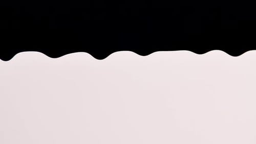 Black Paint Slowly Drips Down on White Background