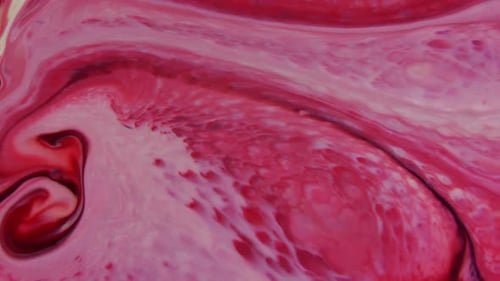 Abstract Swirling Red and White Liquid Paint
