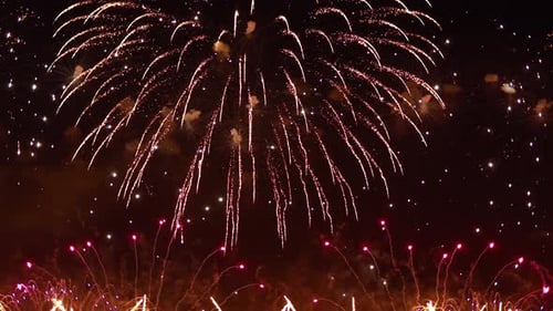 Brilliant Fireworks Exploding in the Night Sky