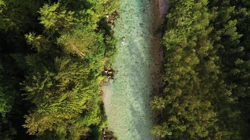 Sommer am Fluss