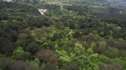 Drone Lush Forests Of Bursa