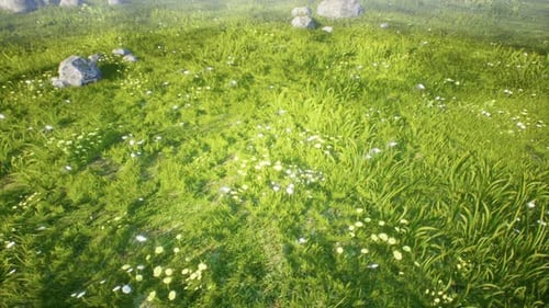3D Grass Field Ver.1