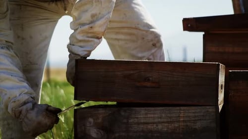 Beekeeper Inspecting a Beehive on a Sunny Day