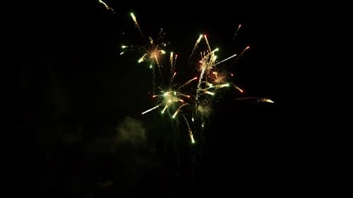 Brilliant Fireworks Display in the Dark Night Sky