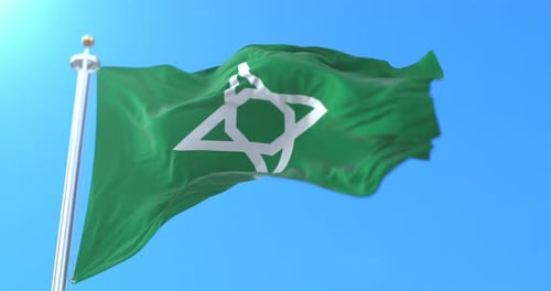 Waving Green Flag with White Geometric Symbol Under Blue Sky