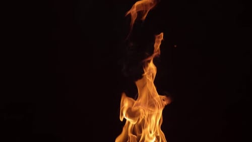 Golden Flames Dancing on Black Background