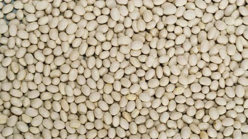 Pile of Dried White Beans Food Ingredient