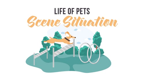 Life of pets - Scene Situation