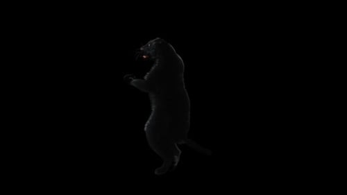 Black Panther Standing on Hind Legs Looking Around Animation