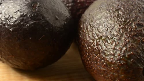 Avocado 6