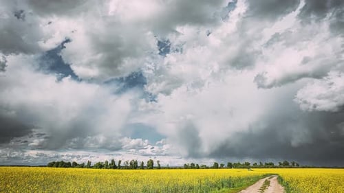 Dramatic Sky With Rain Clouds On Horizon Above Rural Landscape Camola Colza Rapeseed Field