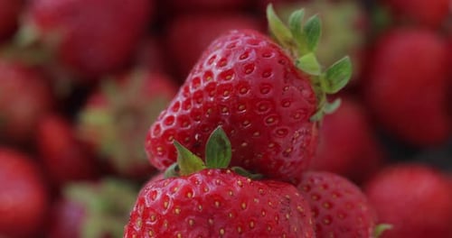 Closeup Shot of Strawberries