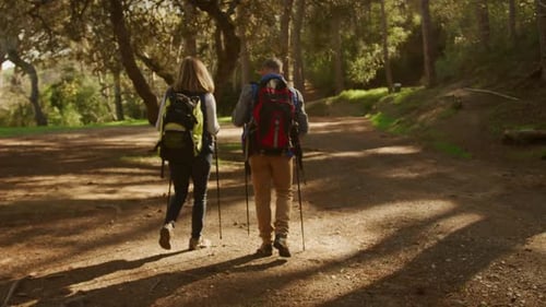 Active senior couple hiking in forest