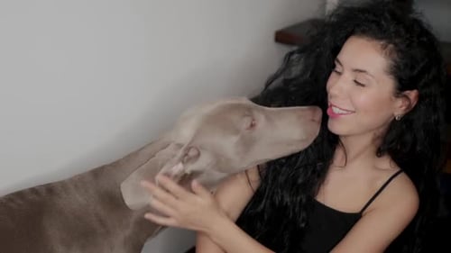 Woman Smiles as Dog Licks Her Face
