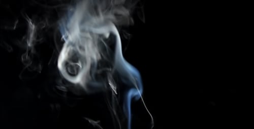 Smoke Pack (4-Pack)