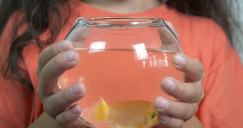 Child Holding Fish in Bowl Close Up