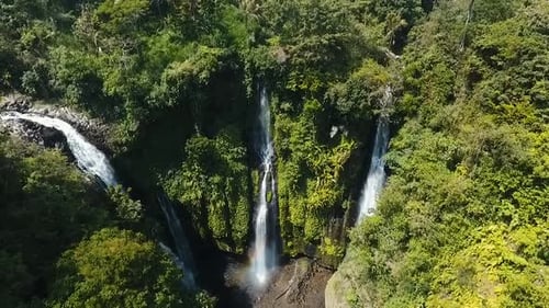 Tropical Waterfall Flowing Through Lush Green Forest