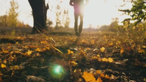 Unrecognizable Sportsman in Hood Jogging in Autumn Park Stepping on Color Maple Leaves