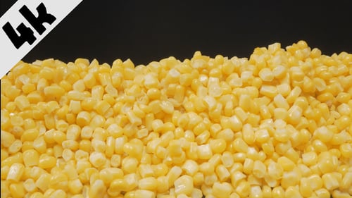 Fresh Yellow Corn Kernels Against a Dark Background