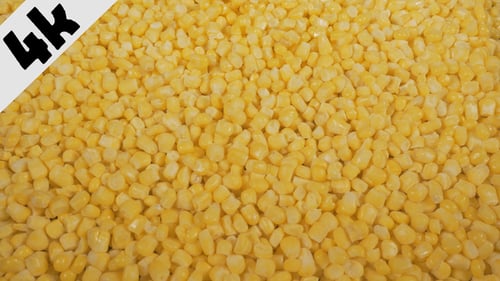 Fresh, Vibrant Yellow Corn Kernels Close Up