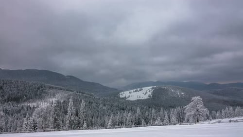 The Winter Mountain Forest
