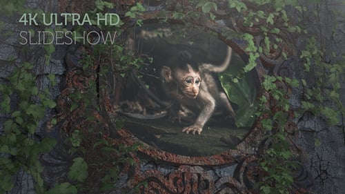 Epic Travel Slideshow (4K)