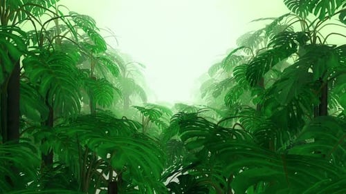 Monstera 03 4k