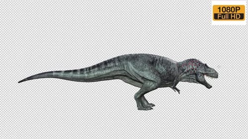 Dinosaur Walk And Roar