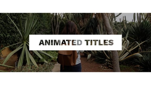 The Dynamic Typography