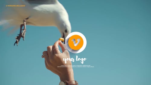 3d Elegant Logo Reveal