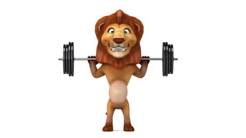 Animated 3D Cartoon Lion Lifting Barbell Squatting Exercise