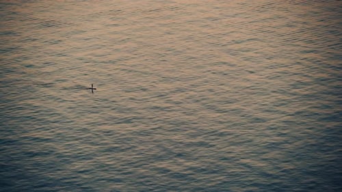 Stand up Pddle Boarding on Quiet Sea.